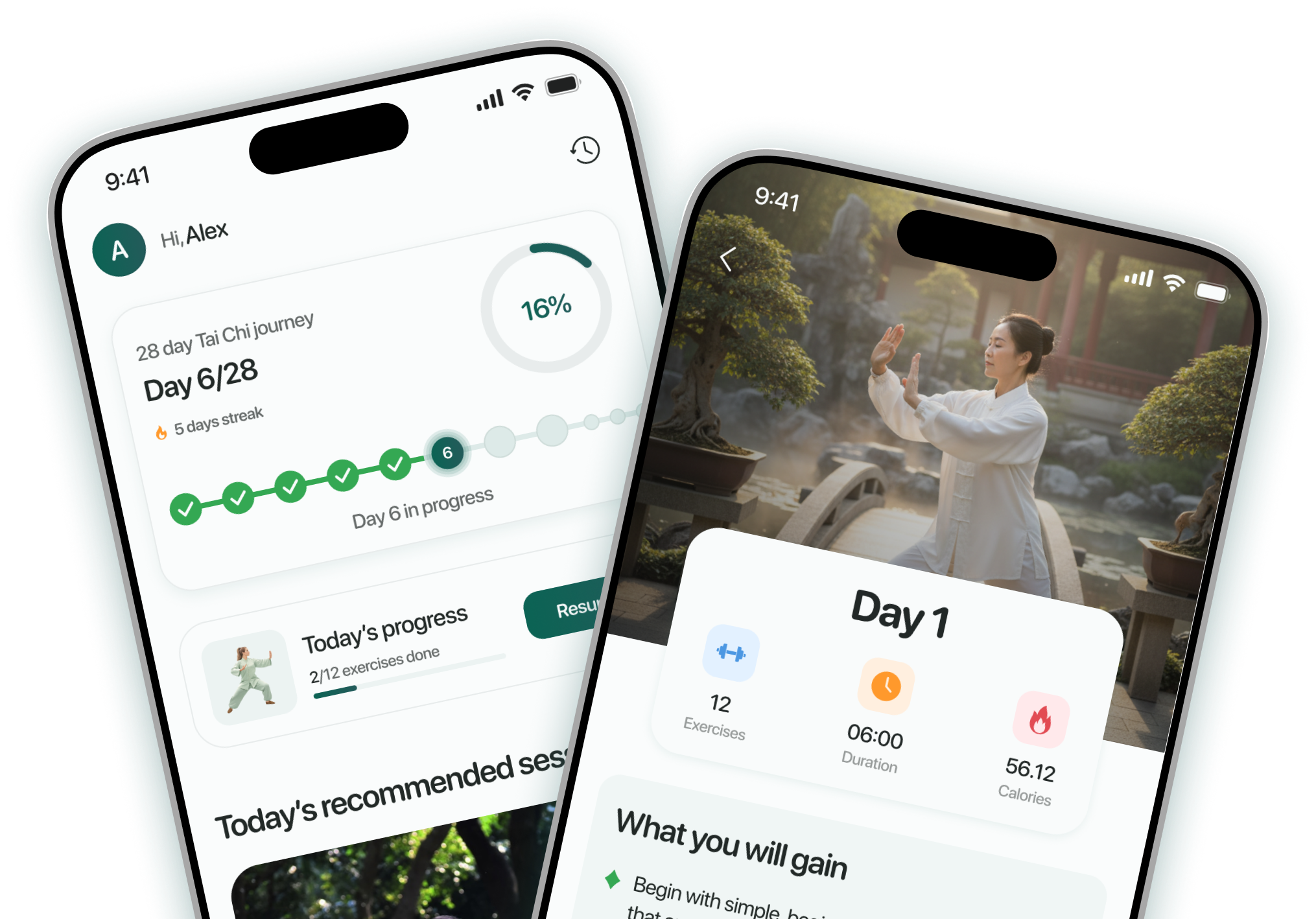 Tai Chi app preview